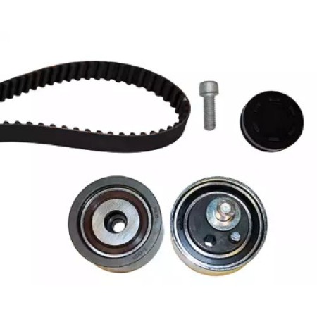 Комплект ГРМ VW Passat/Audi A4/A6 2.5 TDI 97-06 (20-1351)
