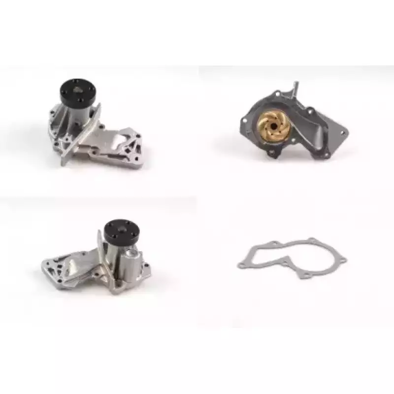 Помпа воды Ford Focus 05-/Fiesta 02-/Connect 1.4/1.6 14- (P255)