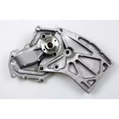 Помпа води Renault Master/Opel Movano 3.0 dCi/DTI 03- (P373)
