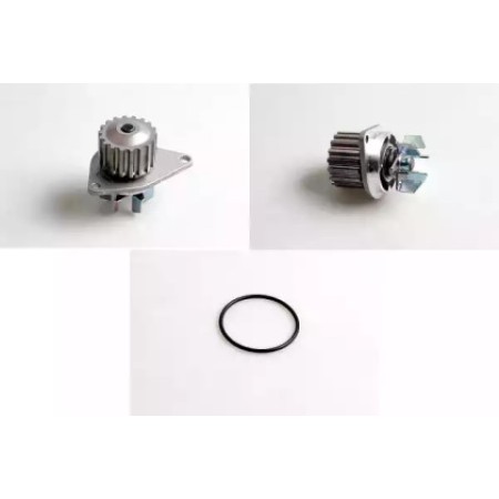 Помпа води Citroen C2-C4/Peugeot 206/307 1.4 03- (P804)