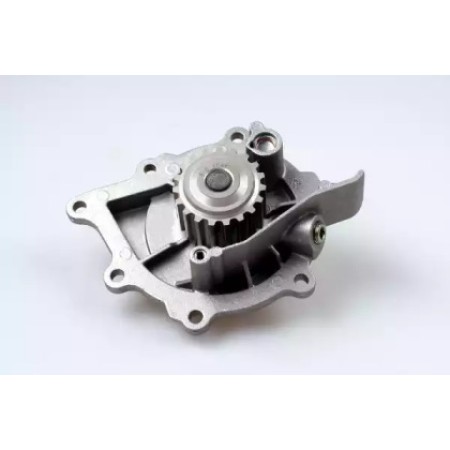 Помпа воды Citroen Jumper/Peugeot Expert 2.0 BlueHDi 15- (P807)