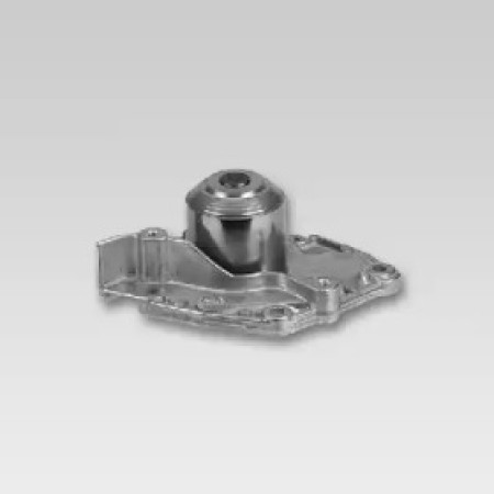 Помпа воды Renault Megane II/Laguna II/Scenic II 1.9 dCi 01- (P957)