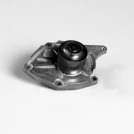 Помпа води Renault Kangoo 1.5dCi 08- (d=74mm) (P962)
