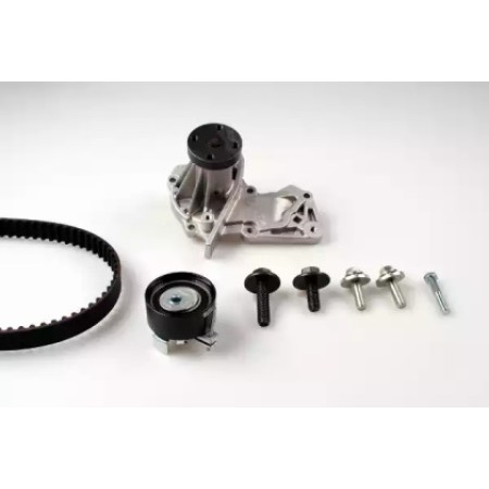 Комплект ГРМ + помпа Ford Mondeo/Focus 1.4/1.6i 03- (117x22) (PK02550)