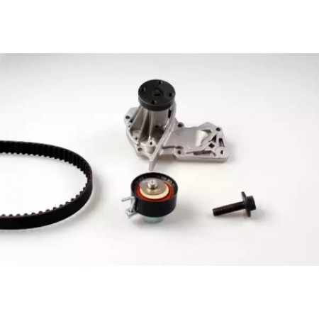 Комплект ГРМ + помпа Ford Mondeo/C-Max/Focus 1.5/1.6 EcoBoost 10-(117x22)(помпа P255) (PK02551)