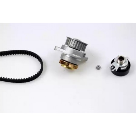Комплект ГРМ + помпа VW Caddy/Golf/Skoda Octavia 1.6 92-04 (PK05402)