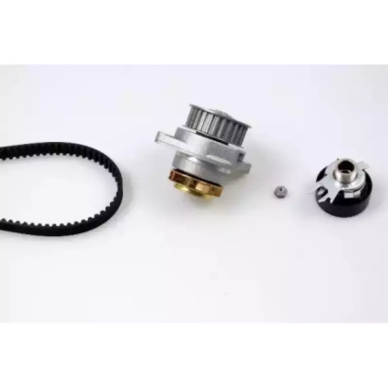 Комплект ГРМ + помпа VW Caddy/Golf/Skoda Octavia 1.6 92-04 (PK05402)
