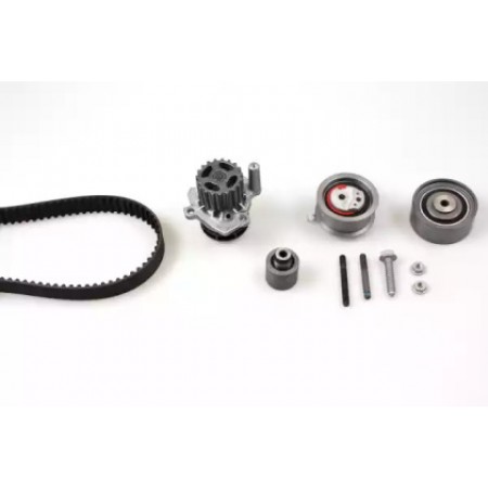 Комплект ГРМ Audi A4/A6/VW Golf V 2.0TDI 04-13 (141x30) (PK06541)
