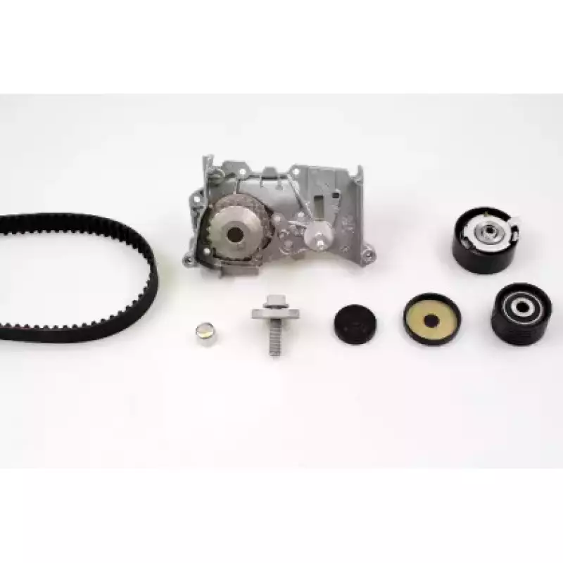 Комплект ГРМ + помпа Renault Megane/Scenic 1.6 16V 02- (PK08421)