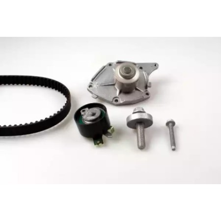 Комплект ГРМ + помпа Renault Kangoo 1.5dCi 01-  (PK09620)