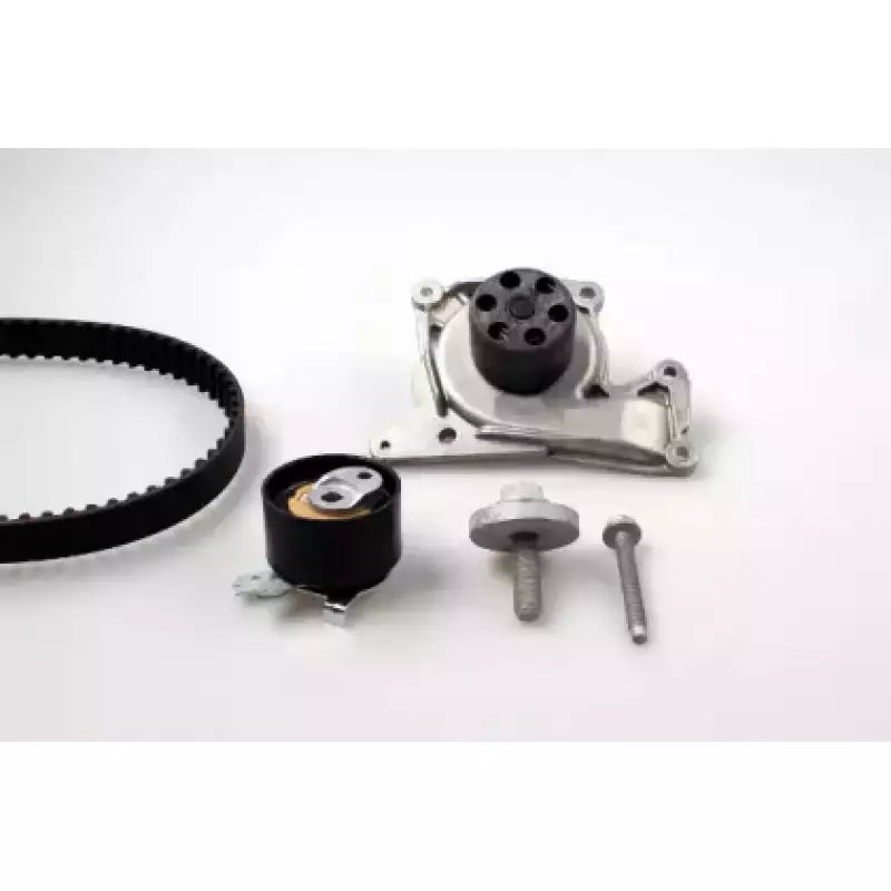 Комплект ГРМ + помпа Renault Kangoo/Nissan Qashqai/Juke 1.5dCi 10-/Megane/Scenic 16- (119х27) (PK09651)