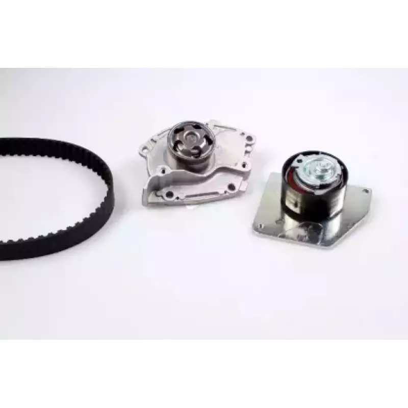 Комплект ГРМ + помпа Renault Megane/Scenic/Grand Scenic 1.9 dCi 09- (133x26) (PK09660)