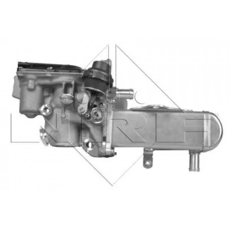 Радиатор рециркуляции ОГ (с клапаном EGR) Renault Megane III/Scenic III 1.9dCi 08-  (48207)