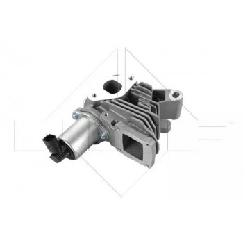 Клапан EGR Renault Megane II/Laguna II/Scenic II 1.9dCi 03- (48340)