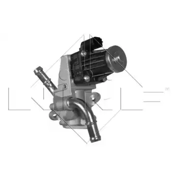 Клапан EGR Peugeot Boxer/Fiat Ducato/Citroen Jumper 2.2HDI 11- (EURO 5) (48317)