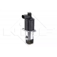 Клапан EGR Renault Kangoo 1.5dCi 01- (48327)