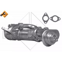 Радиатор рециркуляции ОГ (с клапаном EGR) Audi A4/A6 2.0D 04-11 (48311)