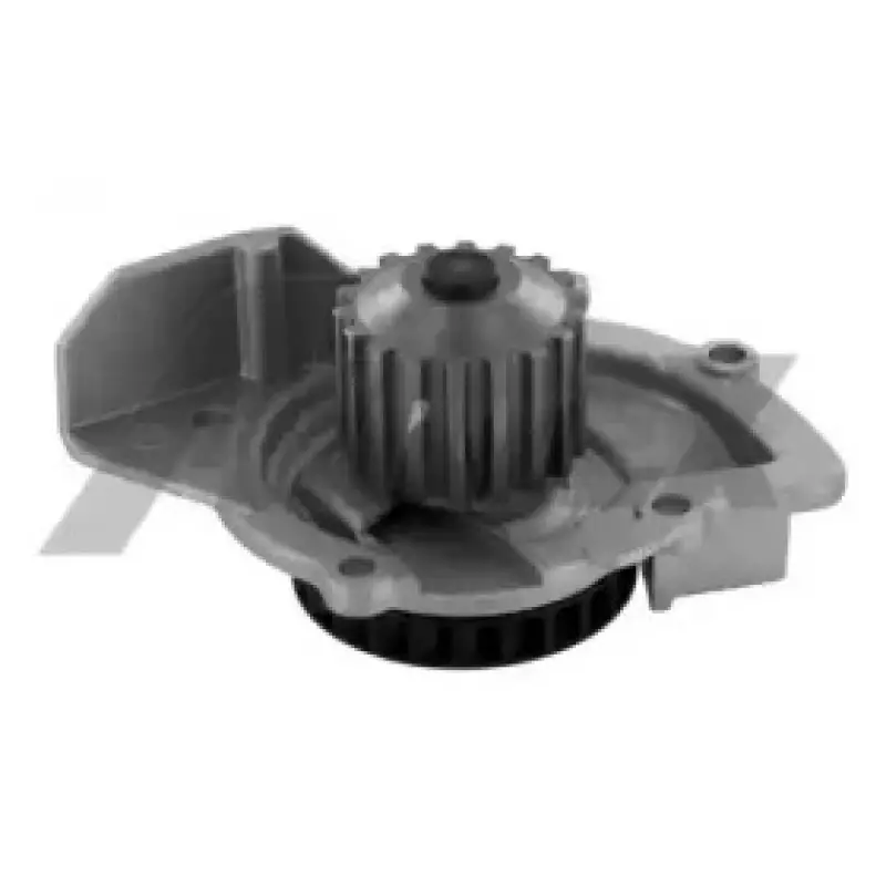Помпа воды Citroen Jumpy/Fiat Scudo/Peugeot Expert 2.0HDI 10- 1955