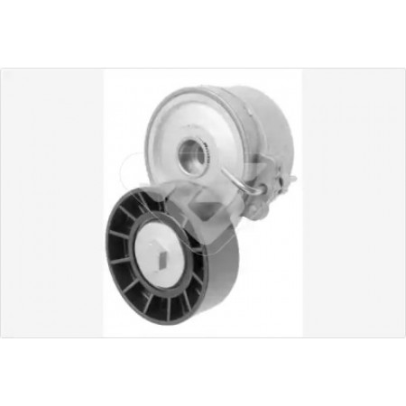 Натяжитель ремня генератора Fiat Scudo/Peugeot Boxer/Partner 2.0-2.2HDI 99- T0218