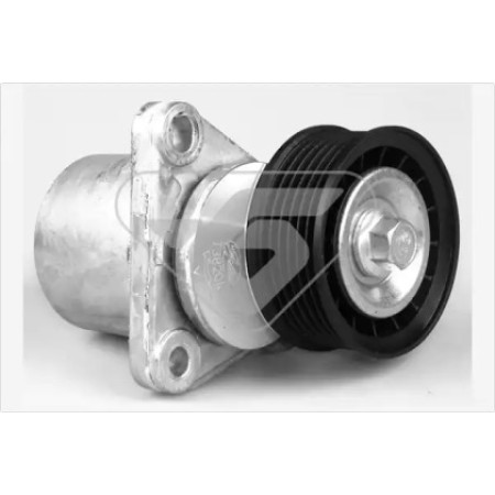 Натяжитель ремня генератора Ford Mondeo 00-15 T0332