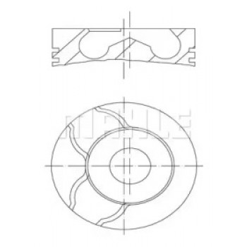 Поршень VW T5 2.5TDI (81.01mm/STD) (1-2 цилиндр) (030 97 00)