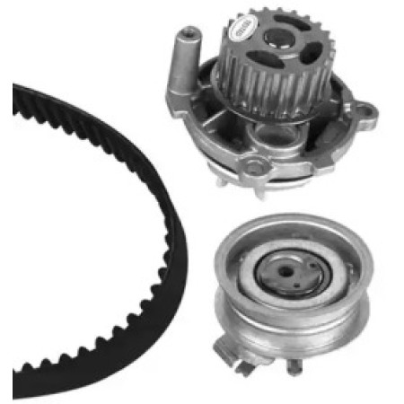 Комплект ГРМ + помпа Audi A3/A4/Seat Ibiza/Skoda Octavia/VW Caddy/Golf/Passat 1.6 95-(138x23)(PA904) (KP904-1)