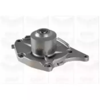 Помпа воды Renault Kangoo/Megane/Scenic/Clio/Nissan Almera/Kubistar/Micra 1.5dCi 01- (B/B) (10 лоп) (PA821)