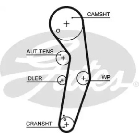 Ремінь ГРМ 1.9TDI Caddy 04-/T5 03-/Golf IV/V/Passat 01-/Jetta 05- (5569XS)