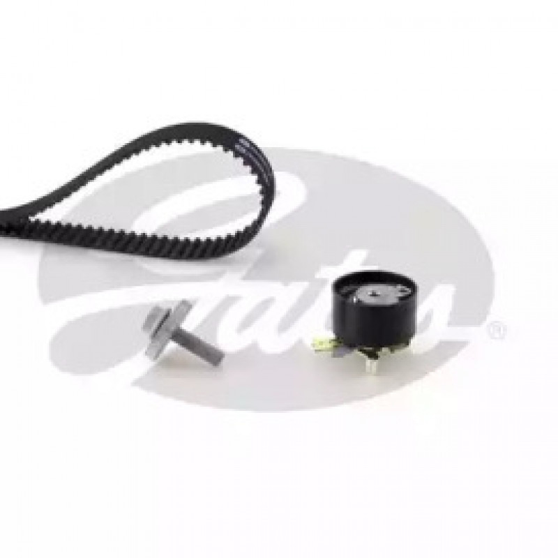 Комплект ГРМ Kangoo/Megane/Clio 1.5dCi 01- (K015578XS)