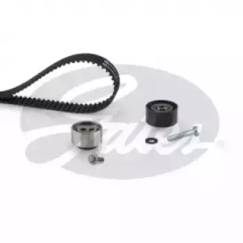 Комплект ГРМ Scudo/Jumpy/Berlingo/Partner 1.9D (DW8) 98- (K025523XS)