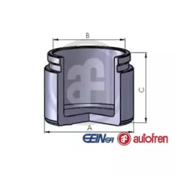 Поршенек суппорта перед QASHQAI/X-TRAIL (60х48) 07-13 (D025239)
