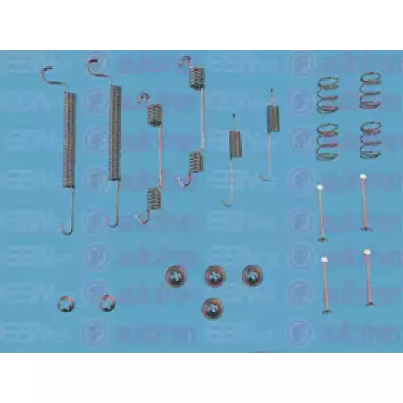 Комплект пружинок барабанных тормозов зад ASTRA/COMBO/VECTRA 91- 203х40 (D3891A)