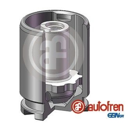 Поршенек суппорта зад Passat B6/Ford Galaxy/S-Max/Ren Scenic III 38x51,9 (с механизмом) (D025541K)