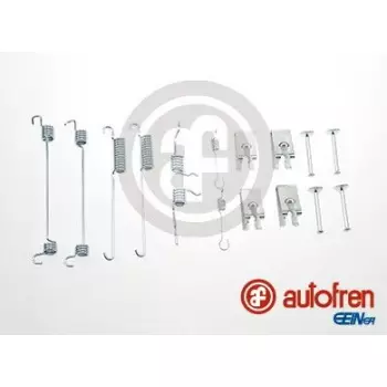 Комплект пружинок барабанных тормозов зад FIESTA/ESCORT 90-02 180х25 (D3911A)