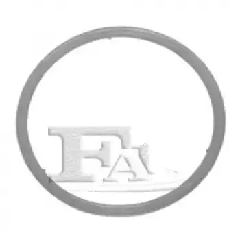 Прокладка трубы выхлопной Fiat Ducato/Citroen Jumper/Peugeot Boxer 06- (210-924)
