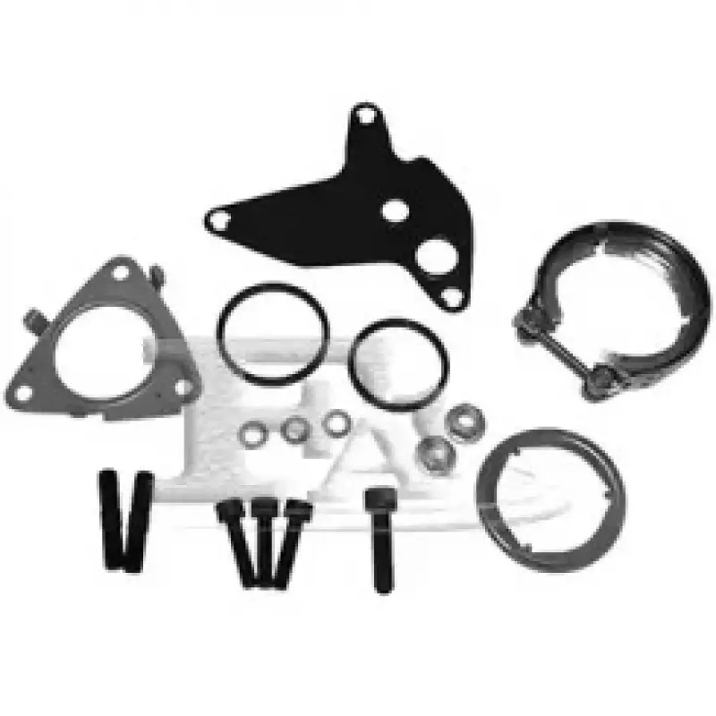 Комплект прокладок турбины VW T5 1.9/2.5TDI 03-09 (KT110045)