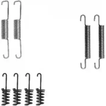 Комплект пружинок колодок ручника VW LT 28-35/MB Sprinter 208-316 (160x25) (Ate, Bosch) (97012300)