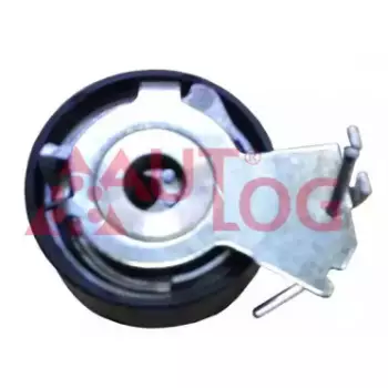 Ролик натяжной ГРМ Nemo/Beeper/Berlingo/Partner 1.1/1.4i 96- (RT1689)
