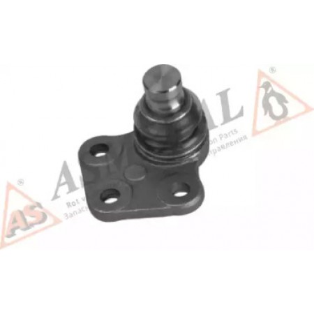 Опора шаровая (передняя/R) Renault Kangoo 08- (10RN5605)