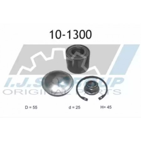 Подшипник ступицы (задней) Renault Megane II 02- (25x55x45) (К-кт) (10-1300)
