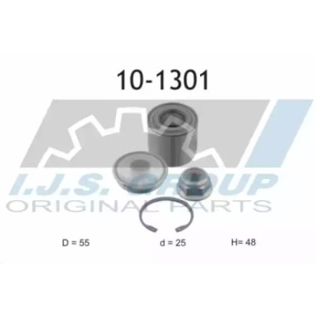 Подшипник ступицы (задней) Renault Megane II/Scenic II 03- (25x55x48) (к-кт) (10-1301)