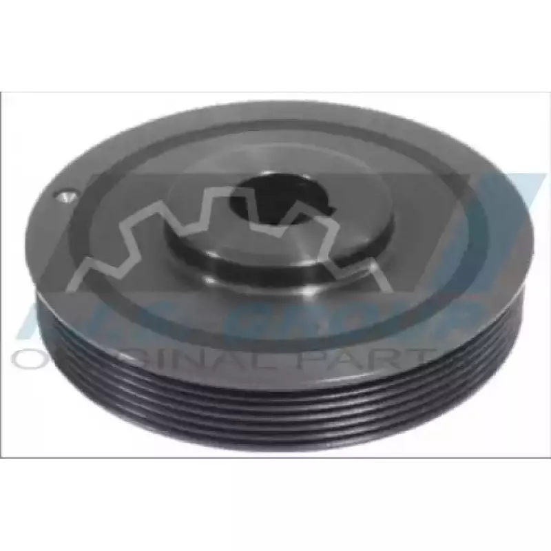 Шкив коленвала Citroen Berlingo/Fiat Scudo/Peugeot Expert/Partner 1.9D/2.0HDi (6PK) (17-1036)