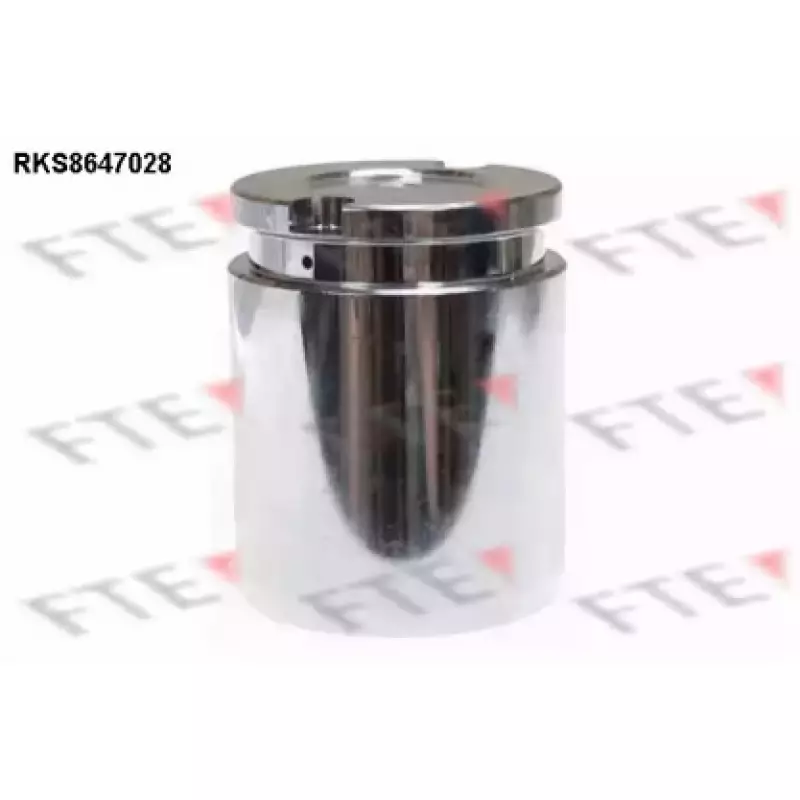 Поршенек супорта (заднього) Citroen Jumpy/Fiat Scudo/Peugeot Expert/VW Caddy III 07- (d=41mm) (RKS8647028)