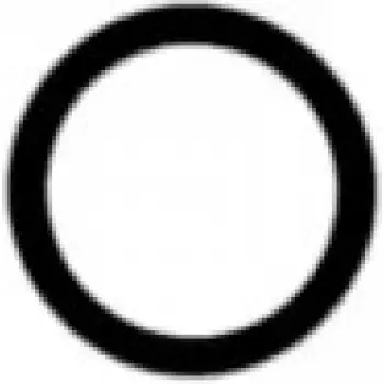Прокладка коллектора впускного Citroen Berlingo/Peugeot Partner 1.6 HDi 05- (d=29.5mm) (40-76240-00)