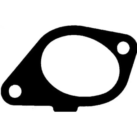 Прокладка коллектора впускного Fiat Scudo/Peugeot Expert 1.9D (DW8) (71-34998-00)