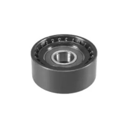 Ролик генератора Mitsubishi Carisma/Space 1.9DI-D 00-06 (паразитный) (60х25,5) (331316170014)