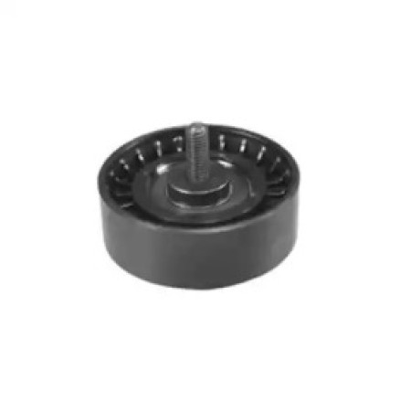 Ролик генератора Citroen Jumper/Peugeot Boxer 2.8 HDi 00- (паразитный) (70х25) (331316170025)