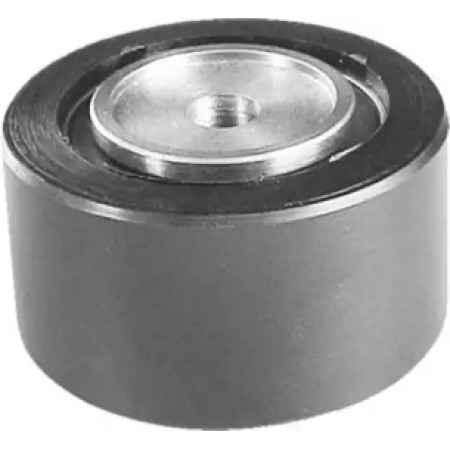 Ролик генератора Citroen Jumper/Peugeot Boxer 2.0/2.2HDi 01- (паразитный) (50х26) (331316170140)