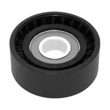 Ролик генератора Renault Kangoo/Megane II/Scenic II 1.6/1.4-1.5D 00-  (натяжной) (65x26) (331316170342)
