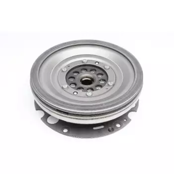 Демпфер сцепления Audi A4/A6/Q5 08-15 (415 0625 09)